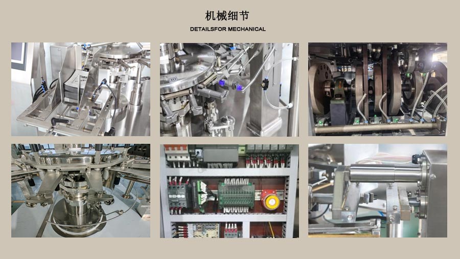 RL-GD8-200R檸檬片包裝機(jī)局部圖片